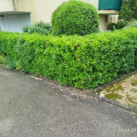 Lumineux Et Propre